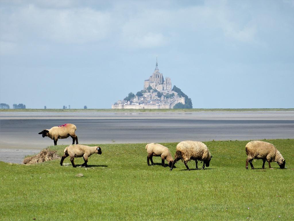 Le Diamant Villa Le Minihic-sur-Rance ภายนอก รูปภาพ